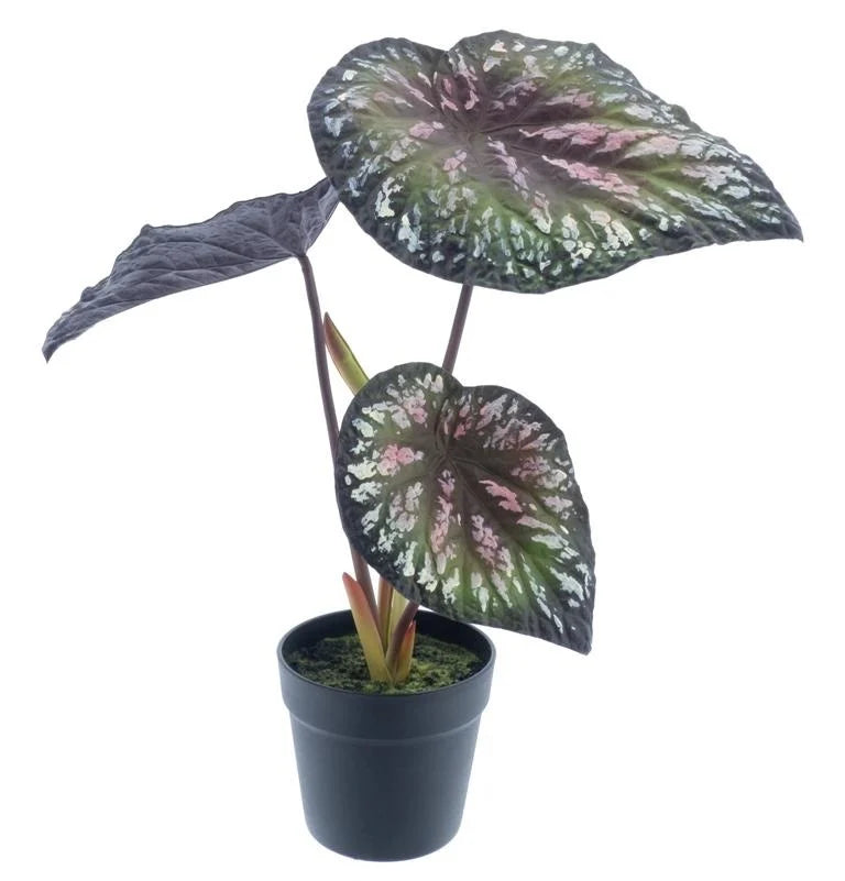 Begonia in pot, Purple, 58cm Zijden plant