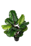 Calathea h85cm groen Zijden plant