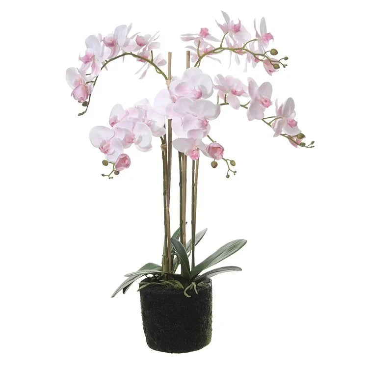 Phalaenopsis, Orchidee, op kluit h85cm roze | Zijden bloemen | plant