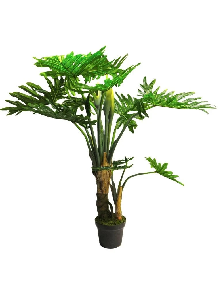 Philodendron Wasimbu green, 155cm