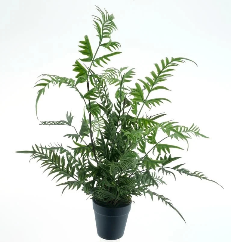 Rumohra fern green 55cm | zijden plant