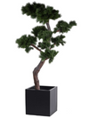El Salvador Pot Zwart – L50 x B50 x H50 cm