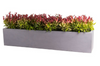 Amazone Pot Grijs Matte – L100 x B30 x H30 cm