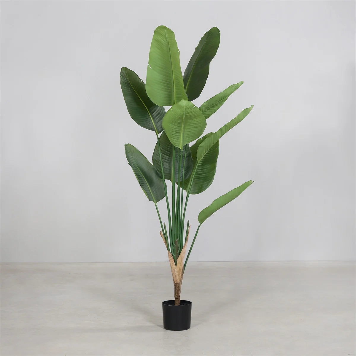 Strelizia leaf | 150cm |  Grote zijden plant