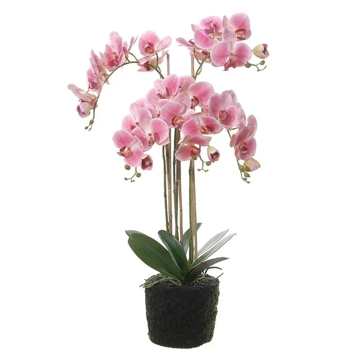 roze orchidee op kluit 85 cm | Zijden bloemen | Plant